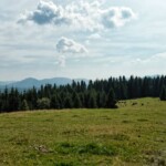 пер. Торуньский - Синевир - Яйко-Ілемське - Мислівка