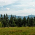 пер. Торуньский - Синевир - Яйко-Ілемське - Мислівка