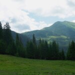 Ділове - Піп Іван Мармароскии - Піп Іван