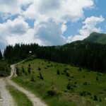Ділове - Піп Іван Мармароскии - Піп Іван