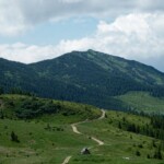 Ділове - Піп Іван Мармароскии - Піп Іван
