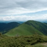 Ділове - Піп Іван Мармароскии - Піп Іван