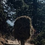 Sagarmatha National Park