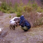 Піп-Іван Чорногірський з Дземброні