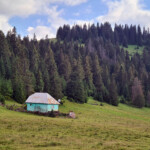 Padiș
