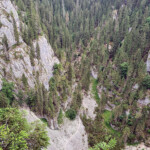 Poiana Glăvoi-Piatra Galbenei-Avenul Borțig-Cheile Galbenei-Poiana Florilor-Peștera Ghețarul de la Focul Viu