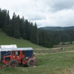 Padiș-Cumpănățelul-Peștera Cetatea Rădesei