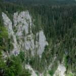 Poiana Glăvoi-Piatra Galbenei-Avenul Borțig-Cheile Galbenei-Poiana Florilor-Peștera Ghețarul de la Focul Viu