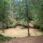 Poiana Glăvoi-Peștera Neagră-P. Zăpodie-Balileasa
