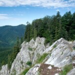 Poiana Glăvoi-Piatra Galbenei-Avenul Borțig-Cheile Galbenei-Poiana Florilor-Peștera Ghețarul de la Focul Viu