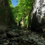 Poiana Glăvoi-Piatra Galbenei-Avenul Borțig-Cheile Galbenei-Poiana Florilor-Peștera Ghețarul de la Focul Viu
