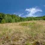 Poiana Glăvoi-Piatra Galbenei-Avenul Borțig-Cheile Galbenei-Poiana Florilor-Peștera Ghețarul de la Focul Viu