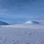 Käsivarsi Wilderness Area