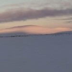 Käsivarsi Wilderness Area