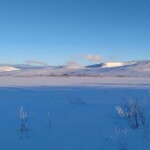 Käsivarsi Wilderness Area