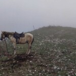 гора Мамдзышха
