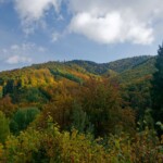 Góry Czerchowskie