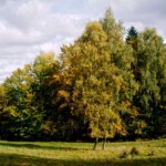Góry Czerchowskie