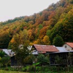 Livovská Huta